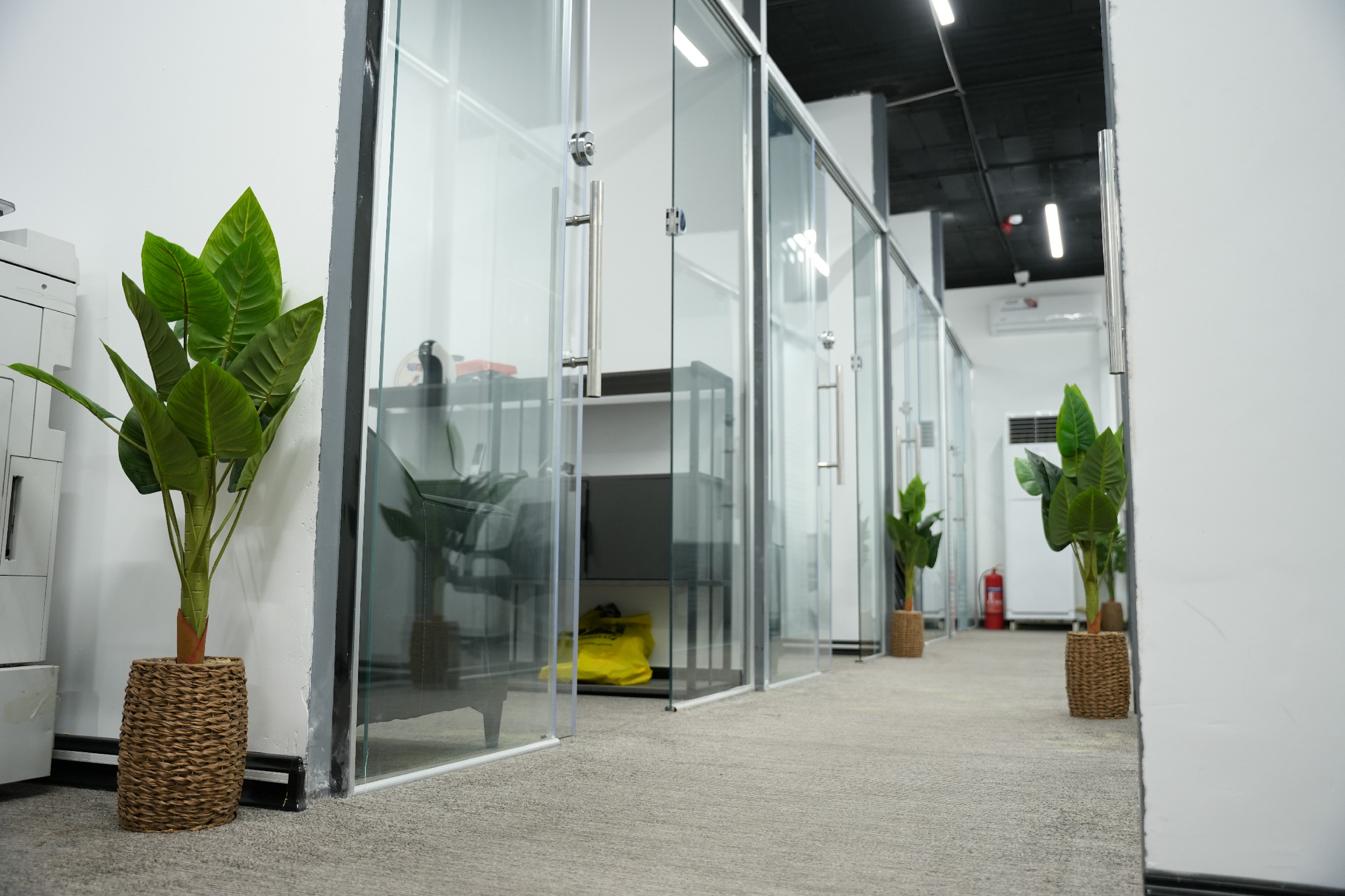 Office 4